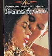 Orchidea selvaggia