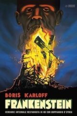 Frankenstein (1931) Restaurato HD - DVD+Poster