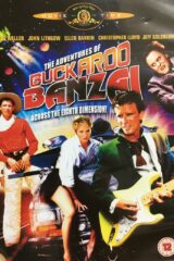 Avventure di Buckaroo Banzai nella quarta dimensione, Le (import in italiano)