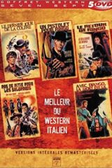 Giorni dell'ira, I + Al di là della legge + Il ritorno di Ringo + Una pistola per Ringo + Joko - Invoca Dio... e muori (5 DVD)