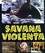 Savana violenta