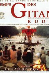 Tempo dei gitani, Il