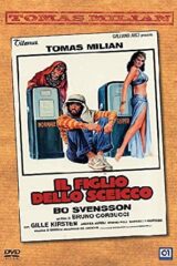 Figlio dello sceicco, Il