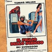 Figlio dello sceicco, Il