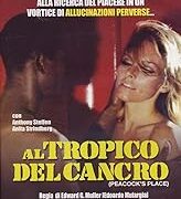 Al tropico del cancro
