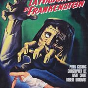 Maschera di Frankenstein, La