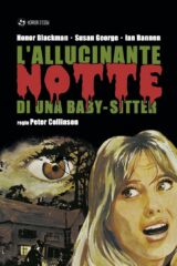 Allucinante notte di una baby sitter, L'