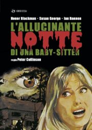 Allucinante notte di una baby sitter, L’