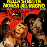 Nella stretta morsa del ragno