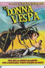 Donna vespa, La