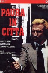 Paura in città (SURF VIDEO)