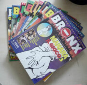 Bronx, benvenuti all’inferno (n. 1/2)