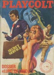Playcolt n.12 (1975)