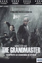 Grandmaster, The (Blu-Ray)