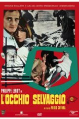 Occhio Selvaggio, L'