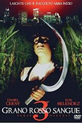 Grano Rosso Sangue 3