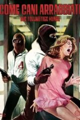 Come cani arrabbiati