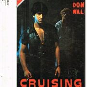 Cruising (ROMANZO)