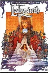 Labyrinth (SE 30° Anniversario)