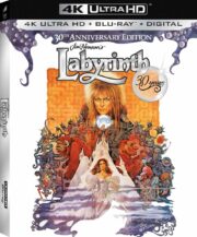 Labyrinth (SE 30° Anniversario) (Blu-Ray Ultra HD 4K+Blu-Ray)
