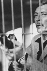 Quel pomeriggio maledetto Ltd ED. 100 colored vinyl LP