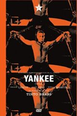 Yankee (import in italiano)