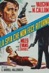 Spia che non fece ritorno, La