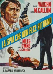 Spia che non fece ritorno, La