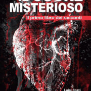 Cuore misterioso, Il - Il primo libro dei racconti