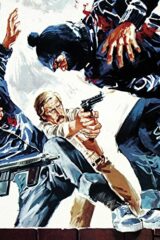 Roma violenta Gatefold 2 LP