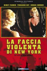 Faccia violenta di New York, La