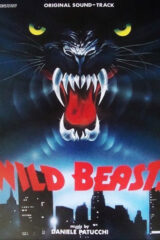 Wild Beasts (LP ORIGINALE)