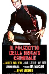 Poliziotto Della Brigata Criminale, Il