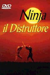 Ninja il distruttore