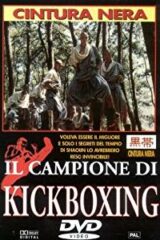 Campione di Kickboxing, Il