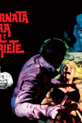 Giornata nera per l'ariete (LP - gatefold + poster)