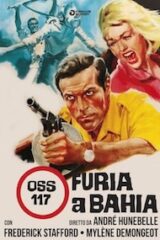 OSS 117 Furia a Bahia