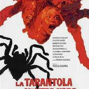 Tarantola dal ventre nero, La