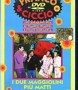 Due maggiolini più matti del mondo, I