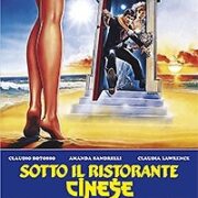 Sotto Il Ristorante Cinese