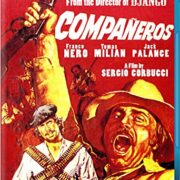 Vamos a matar companeros