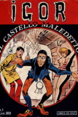 Igor n.1 - Il castello maledetto