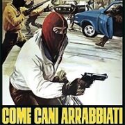 Come cani arrabbiati