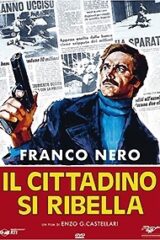 Cittadino si ribella, Il