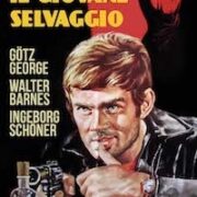 Giovane Selvaggio, Il