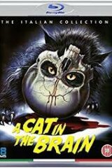 Gatto nel cervello, Un (Blu Ray)