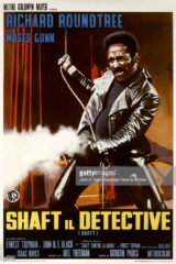 Shaft - Raccolta completa dei romanzi (5 libri)