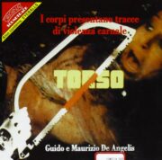 Gatti rossi in un labirinto di vetro + I Corpi presentano tracce di violenza carnale