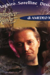 Fantaghirò Sorellina Desideria - Il fantastico mondo di Amedeo Minghi (CD)