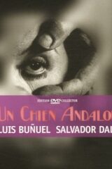 Un Chien Andalou